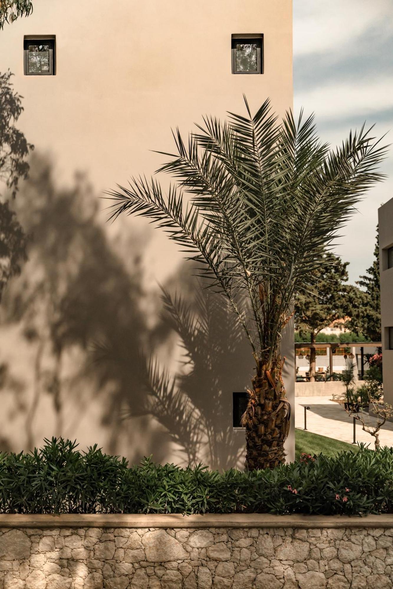 Hotel Cook's Club Rhodes -adults Only 5*
